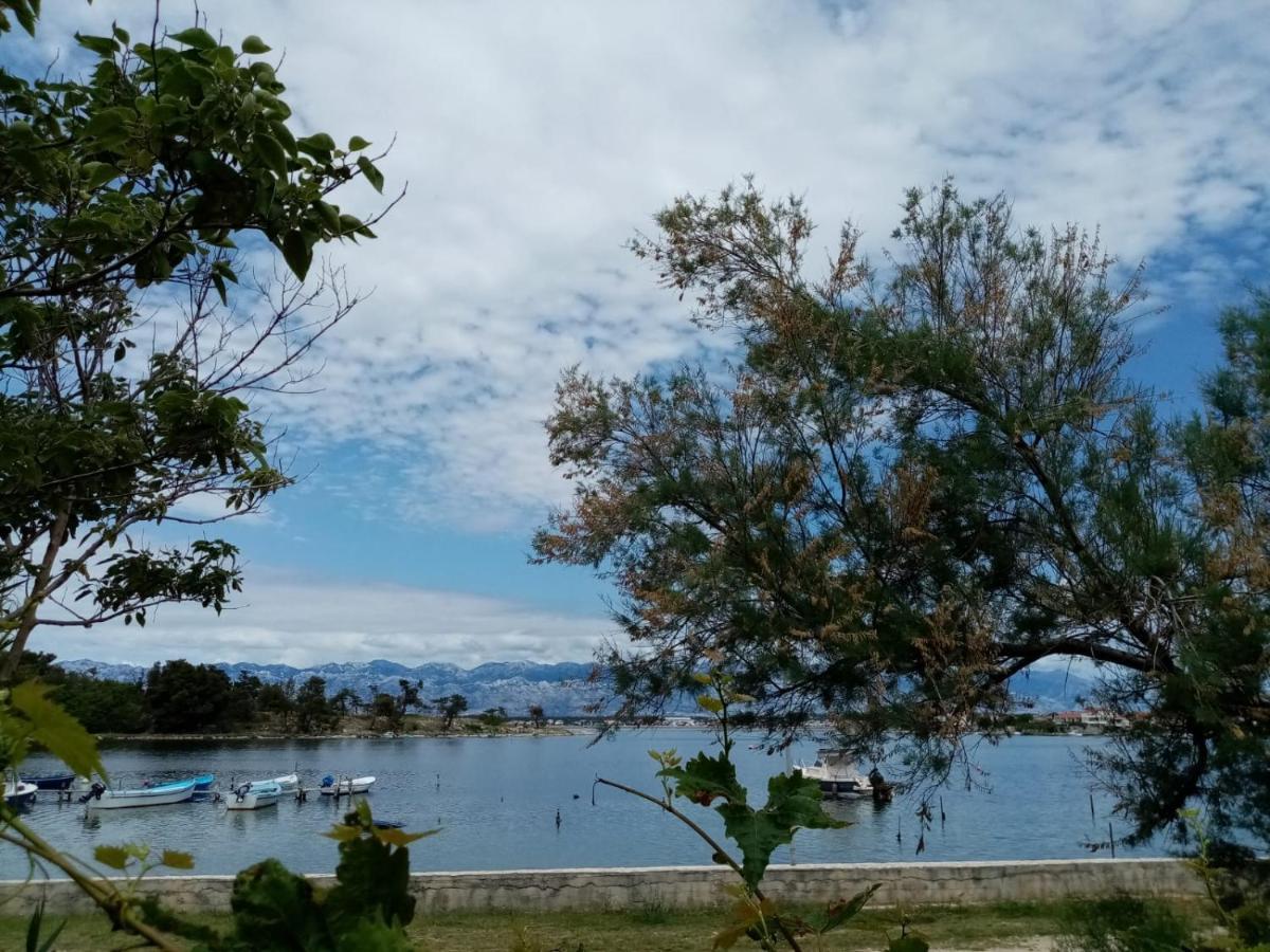 Seaview Holiday Apartments, Ventura Nin Esterno foto