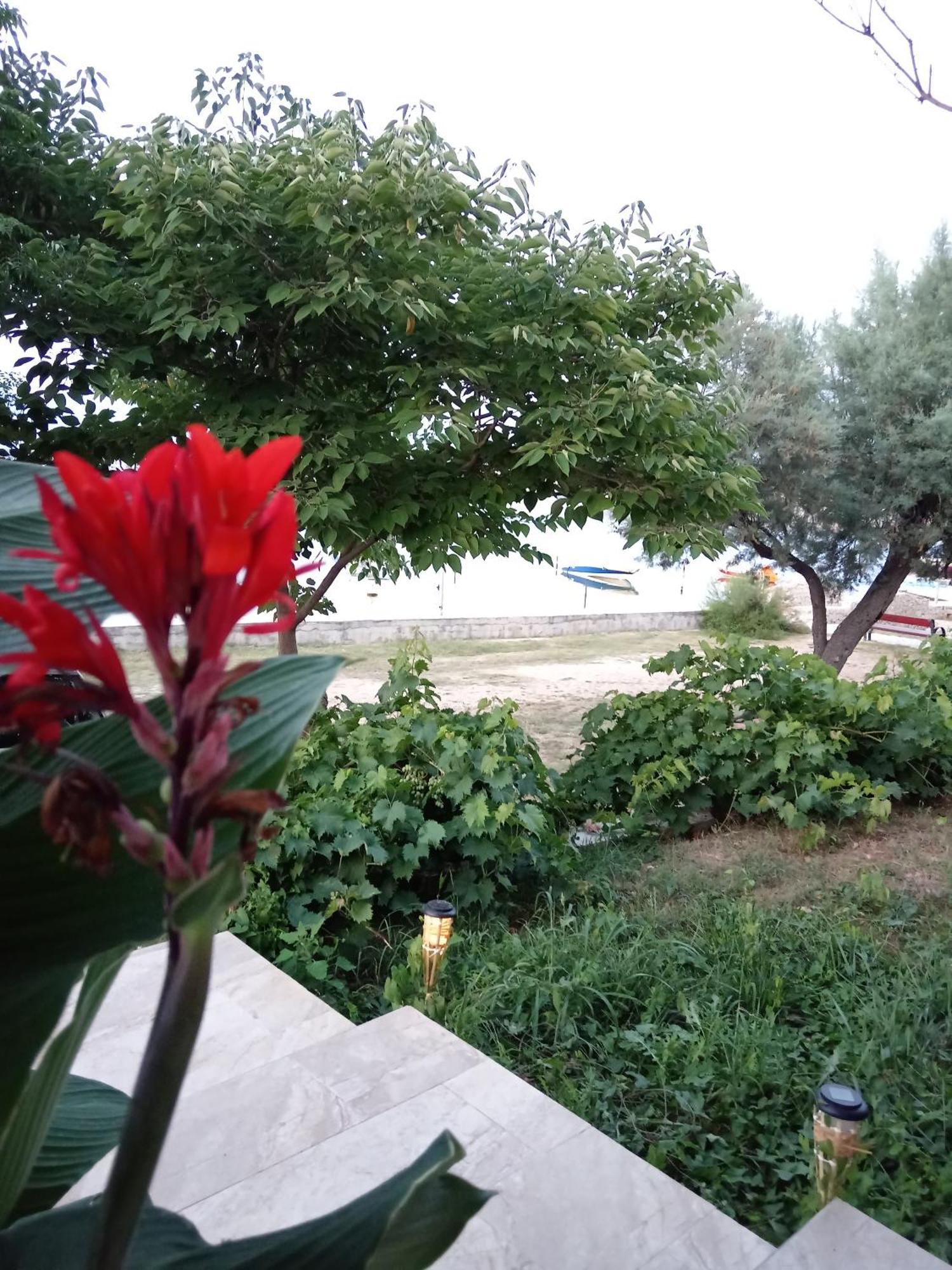 Seaview Holiday Apartments, Ventura Nin Esterno foto